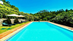 Villa Amarela